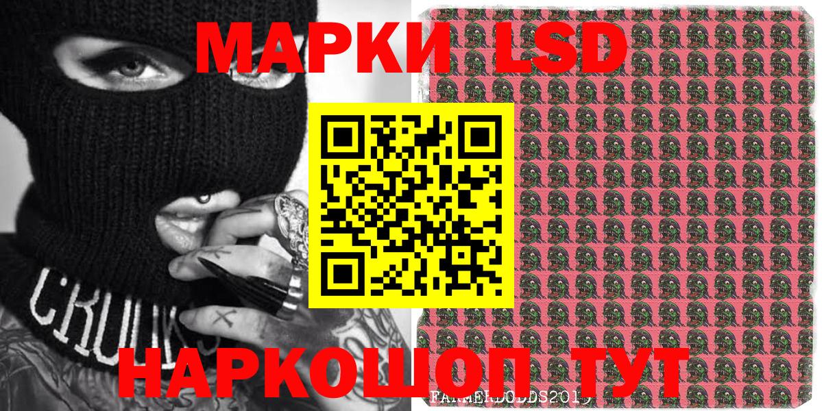 Бошки Шишки Славгород